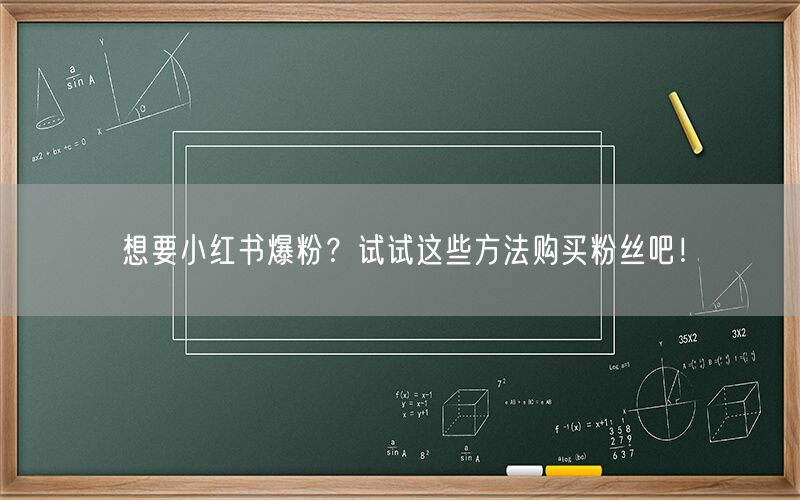 想要小红书爆粉？试试这些方法购买粉丝吧！